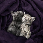 Utopia Bedding Ultra Soft Fleece Bed Blanket King Size Purple | Microfiber - Image 4