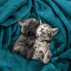 Utopia Bedding Soft Fleece Bed Blanket Throw Size Turquoise | Microfiber Plush - Image 4