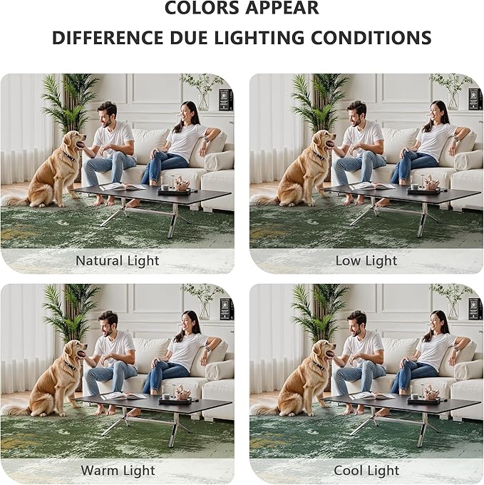 8x10 Rugs for Living Room - Image 7