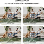 8x10 Rugs for Living Room - Image 7