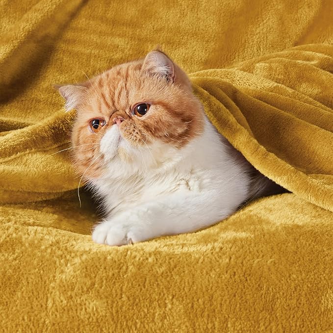 Bedsure GentleSoft Gold Fleece Throw Blanket - Image 5