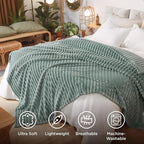 Bedsure Soft Queen Size Blanket - Image 5