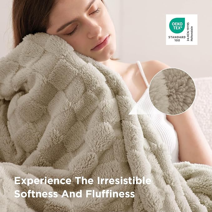 Bedsure GentleSoft Neutral Twin Blanket - Image 4