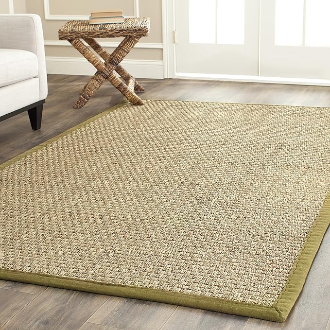 SAFAVIEH Area Rug 3x5 by Unknown