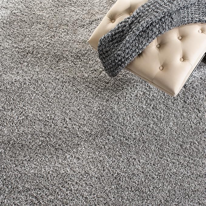 SAFAVIEH Area Rug 4x6 - Image 9