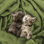 Utopia Bedding Ultra Soft Fleece Bed Blanket Queen Size Olive | Microfiber - Image 4