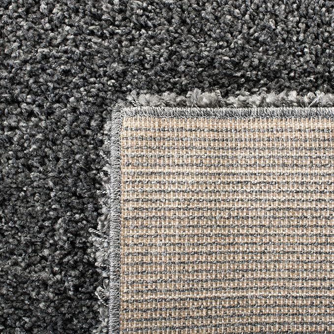 SAFAVIEH Area Rug 3x5 - Image 9